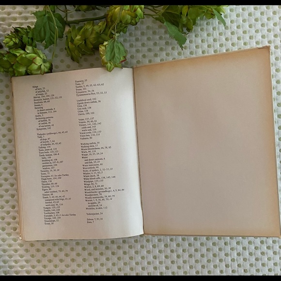 Charlie Brown’s Book of Questions & Answers - Picture 9 of 9